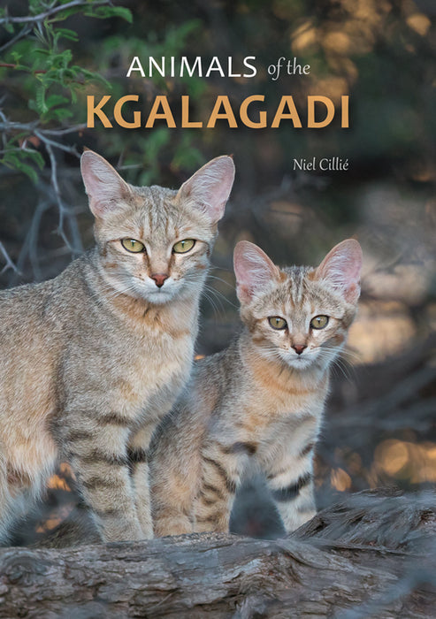 Animals Of The Kgalagadi (Paperback)