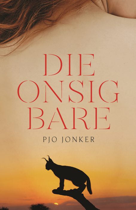 Die Onsigbare (Paperback)