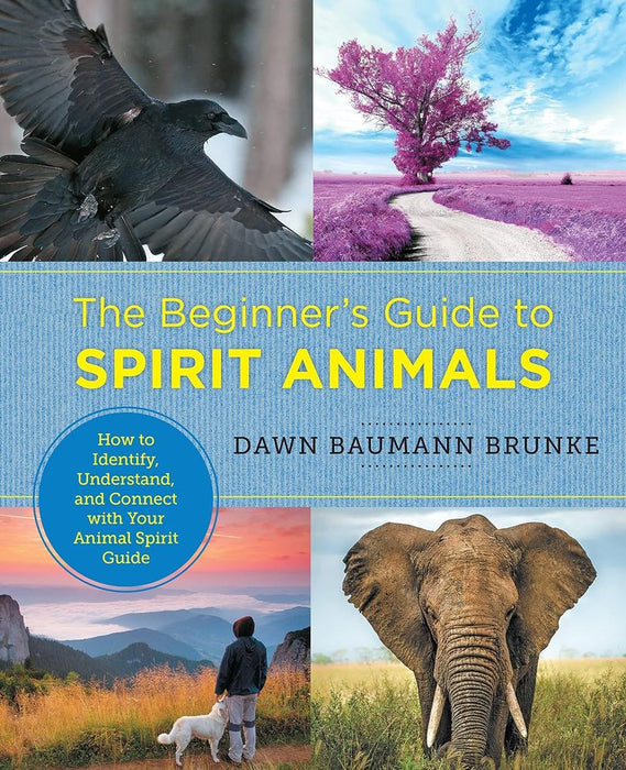 Beginners Guide to Spirit Animals