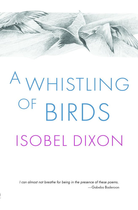 A Whistling of Birds (Paperback)