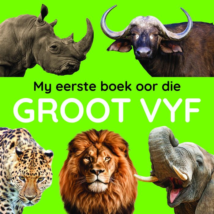 My Eerste Boek Oor Die Groot Vyf (Board Book)