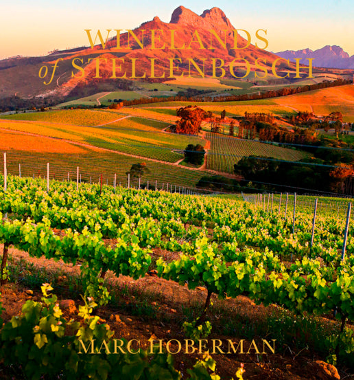 Winelands of Stellenbosch