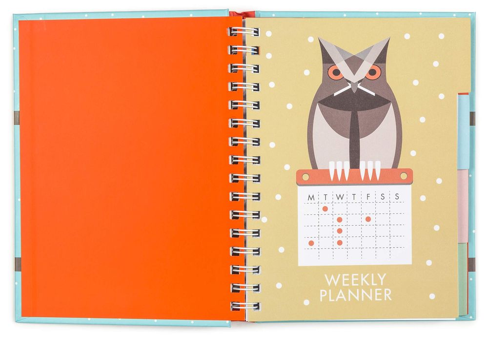 Family Planner (Owls) (Spiral Bound)