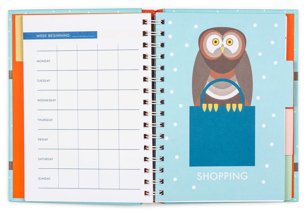 Family Planner (Owls) (Spiral Bound)