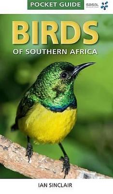 Pocket Guide: Birds of Southern Africa