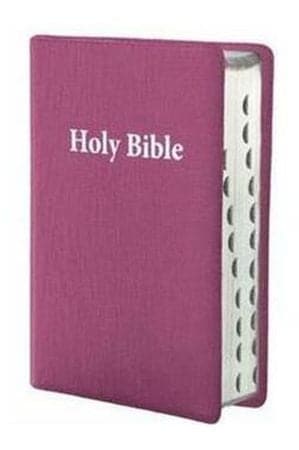 NIV Bible Compact Vinyl Blush Pink