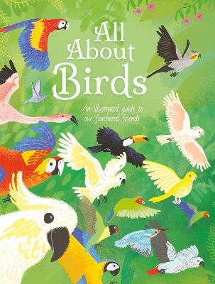 All About Birds: An Illustrated Guide to Our Feathered Friends ...