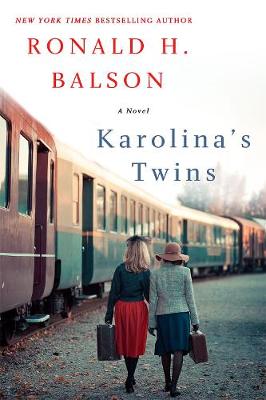 Karolina's Twins: A Novel