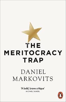 Meritocracy Trap